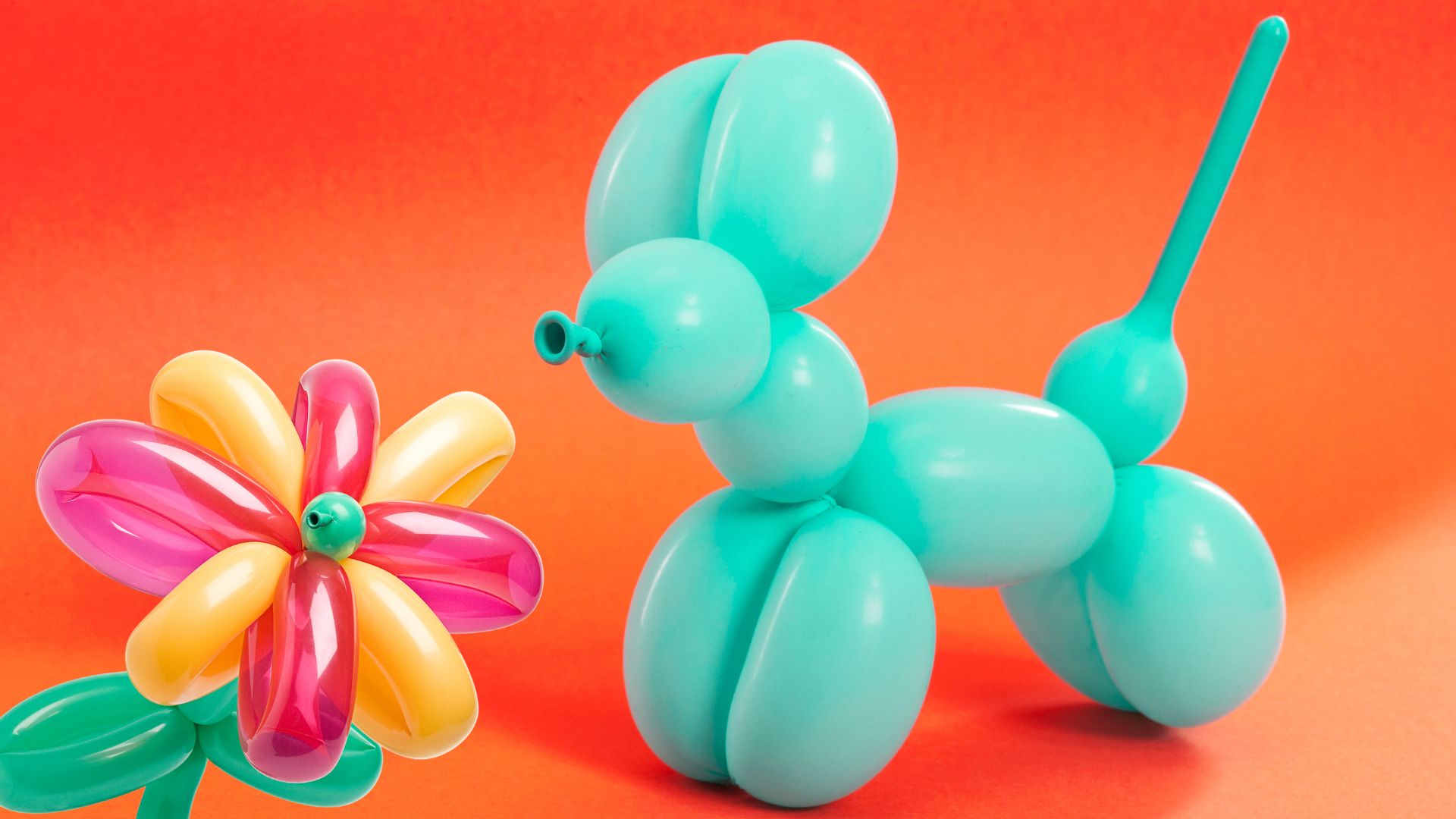 Balloon flower and animal