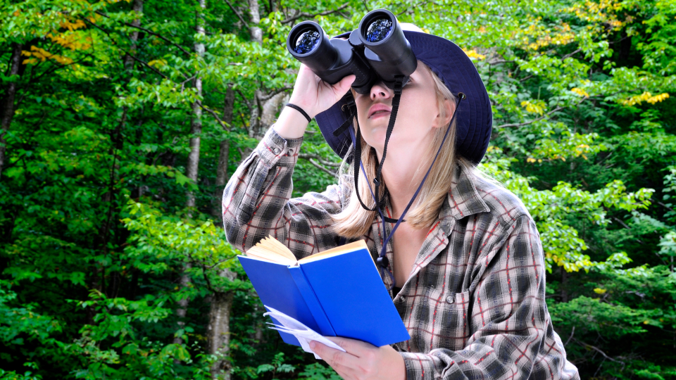 Woman birding with binoculars.