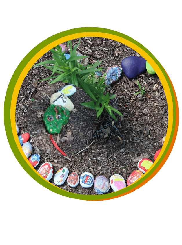 Painted rocks lined up in the garden mulch to form "Oakley Woody the Rock Snake"